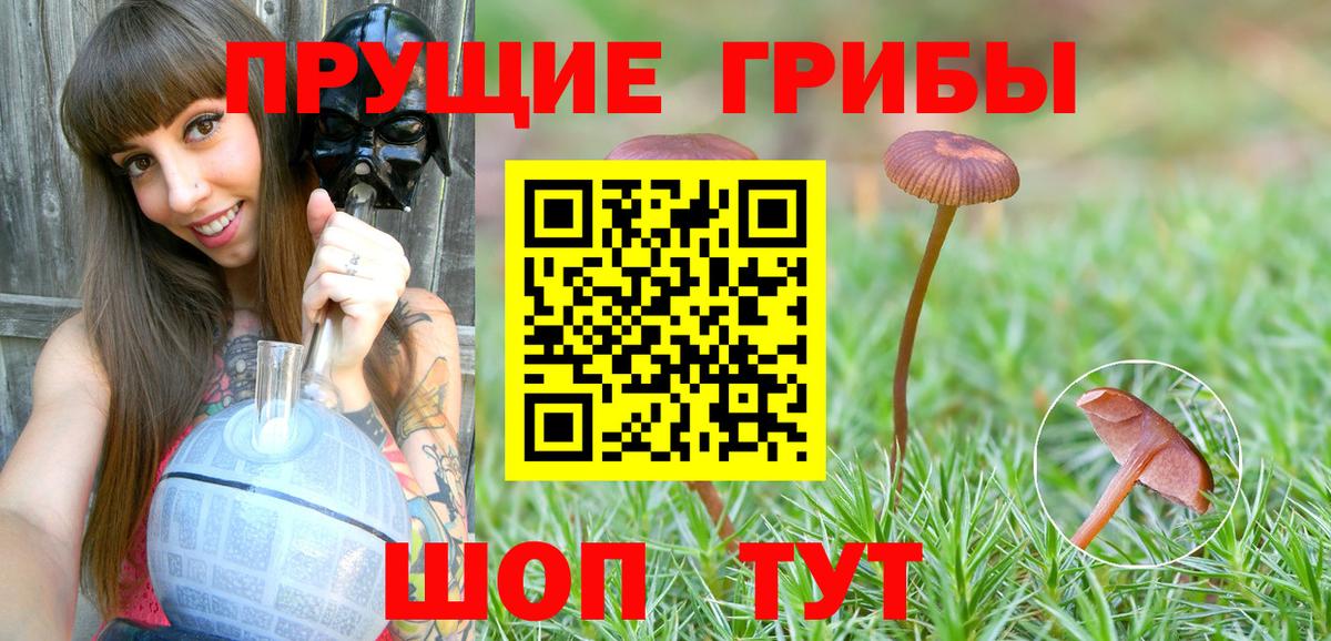 Галлюциногенные грибы прущие грибы Ленинск-Кузнецкий